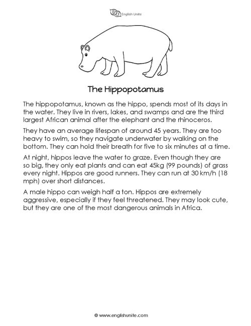 Short story - The hippo 1