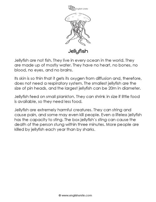 Short story - The jellyfish 1