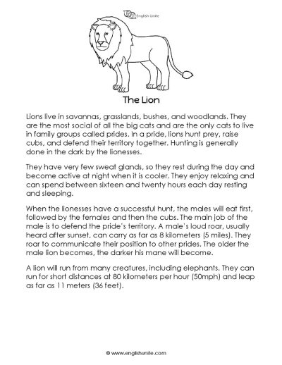 Short story - The lion 1