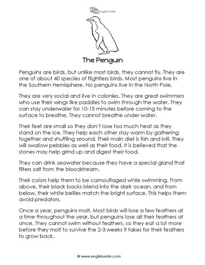 Short story - The penguin 1