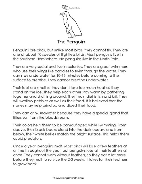 Short story - The penguin 1