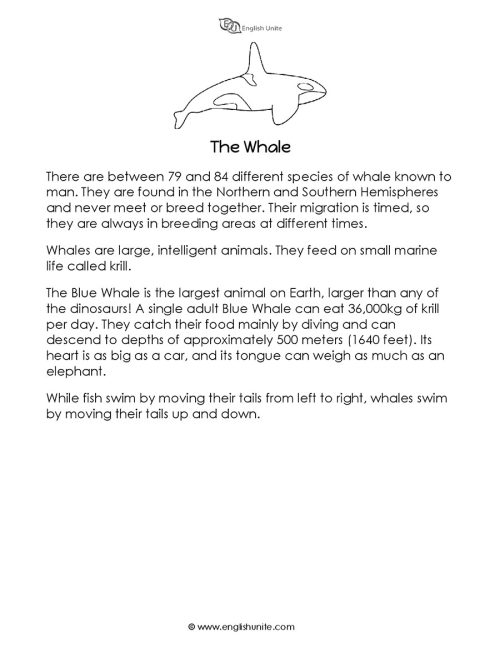 Short story - The whale 1