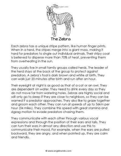 Short story - The zebra 1