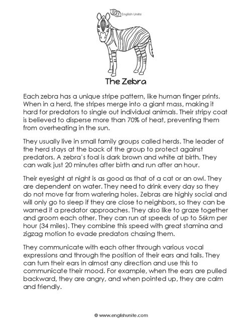 Short story - The zebra 1